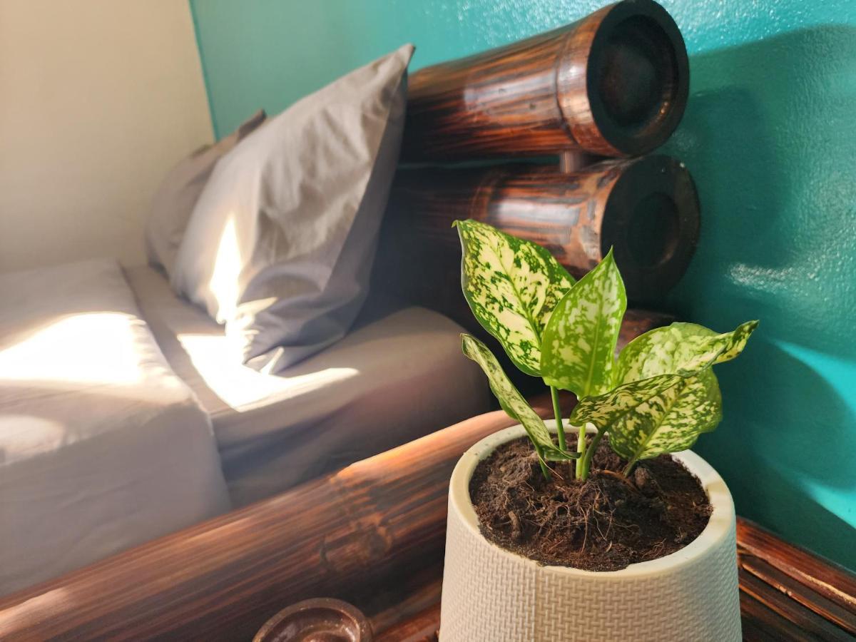 Blue Moon House - A Budget Hostel For Easy Travellers Chiang Mai Bagian luar foto