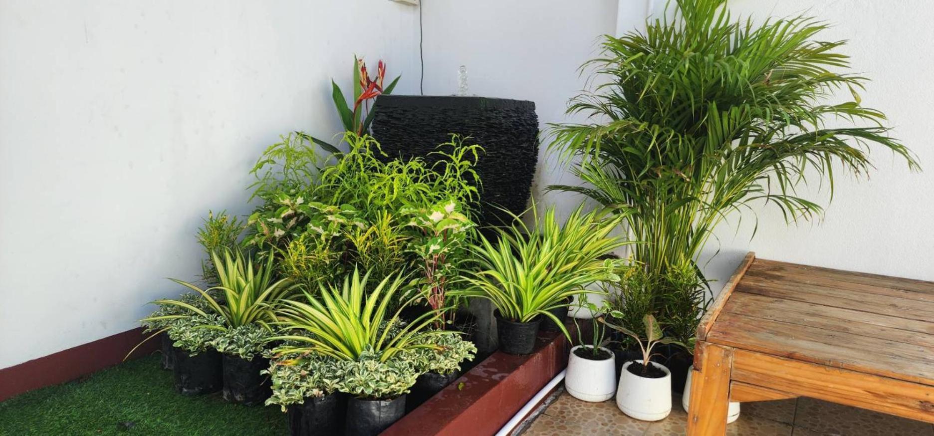 Blue Moon House - A Budget Hostel For Easy Travellers Chiang Mai Bagian luar foto